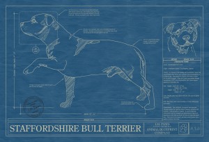 staffordshire