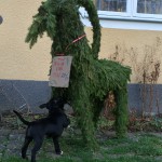 2015-11-15 mobilen 022