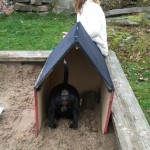 2015-11-15 mobilen 025