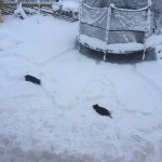 20160119 062